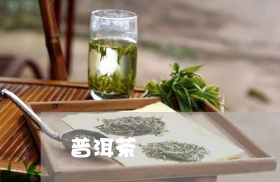 普洱茶       洞/2023050674837